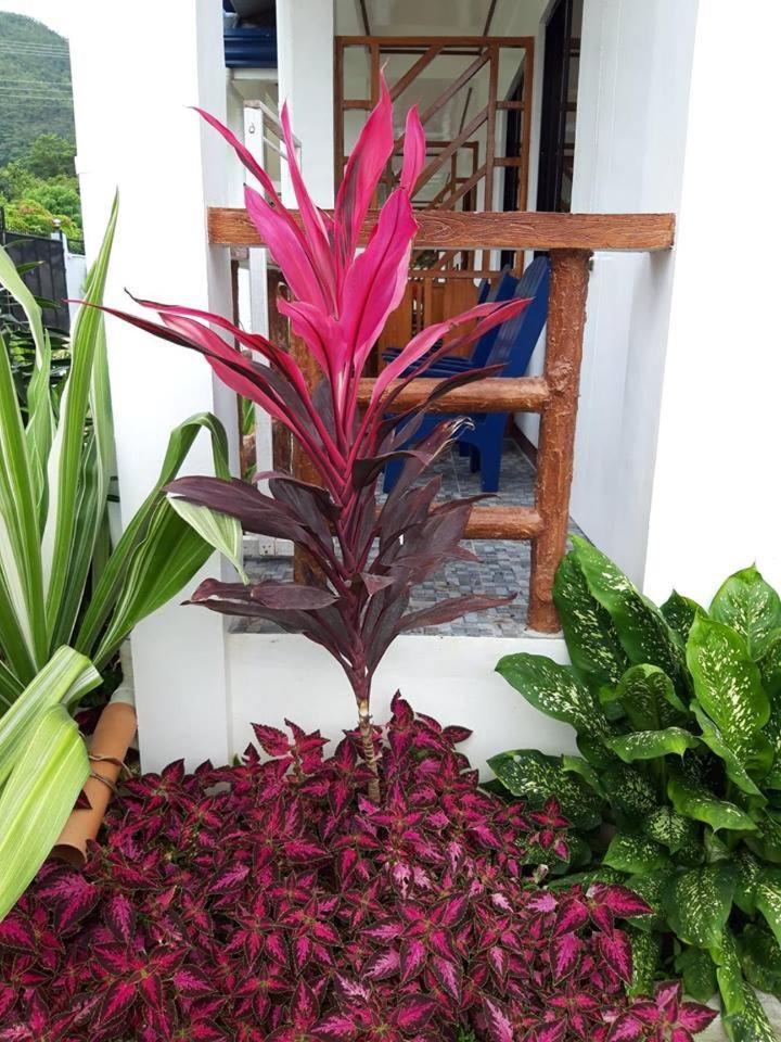 Bella Vita Guest House Coron Exterior foto
